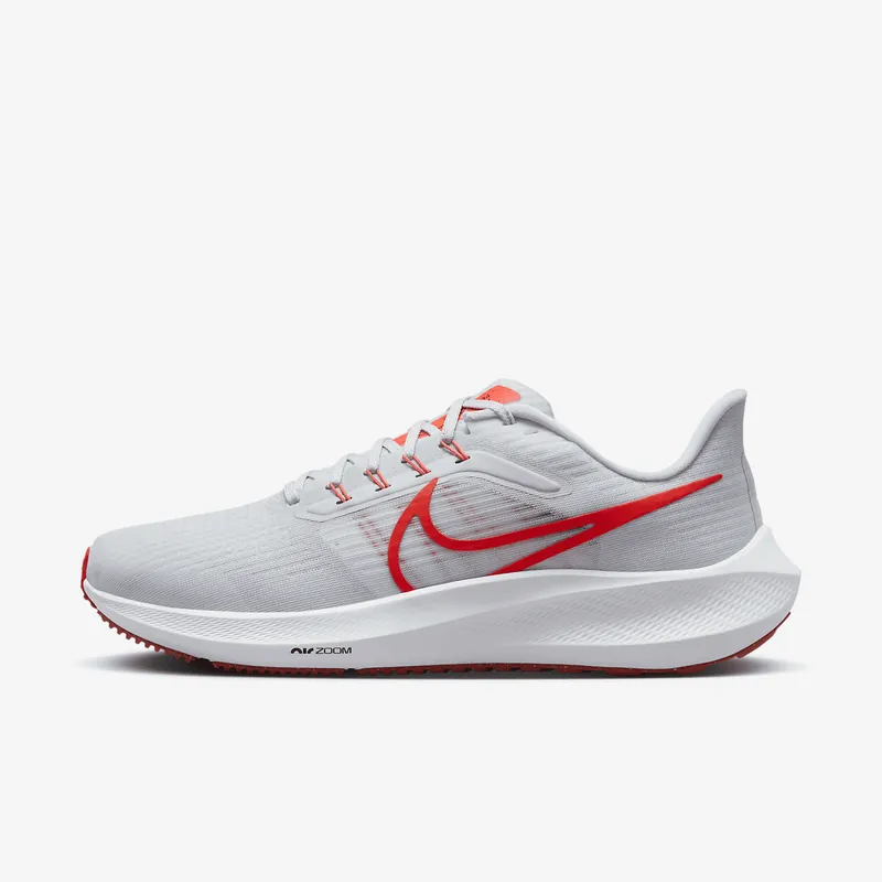 Nike Pegasus 39