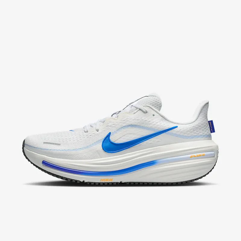 Nike Winflo 12