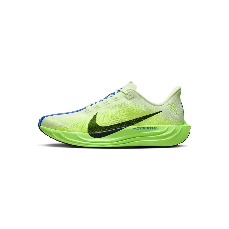 Nike 페가수스 플러스