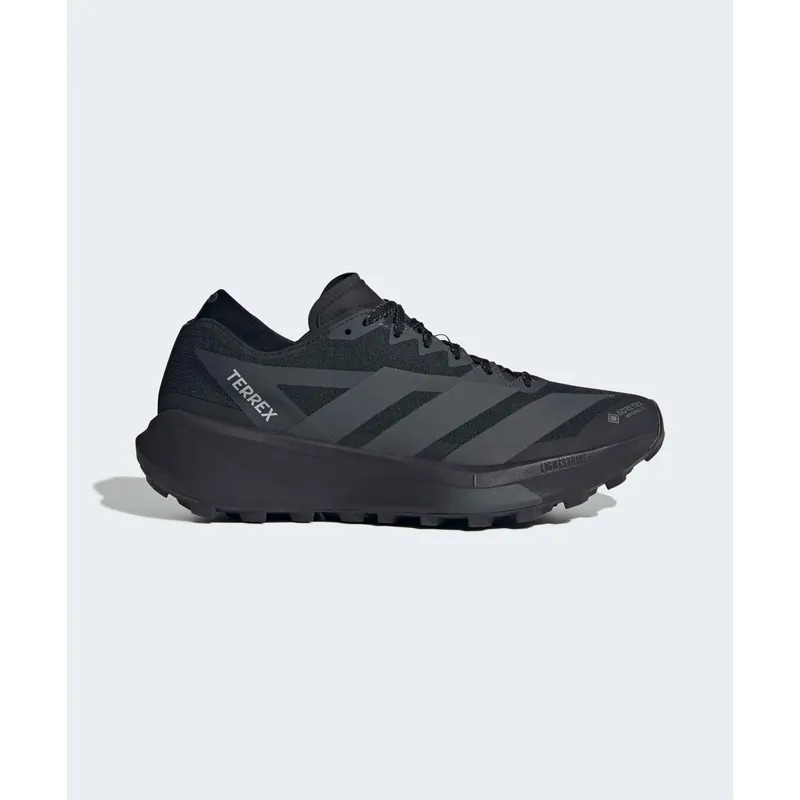 Adidas Terrex Agravic GTX 2