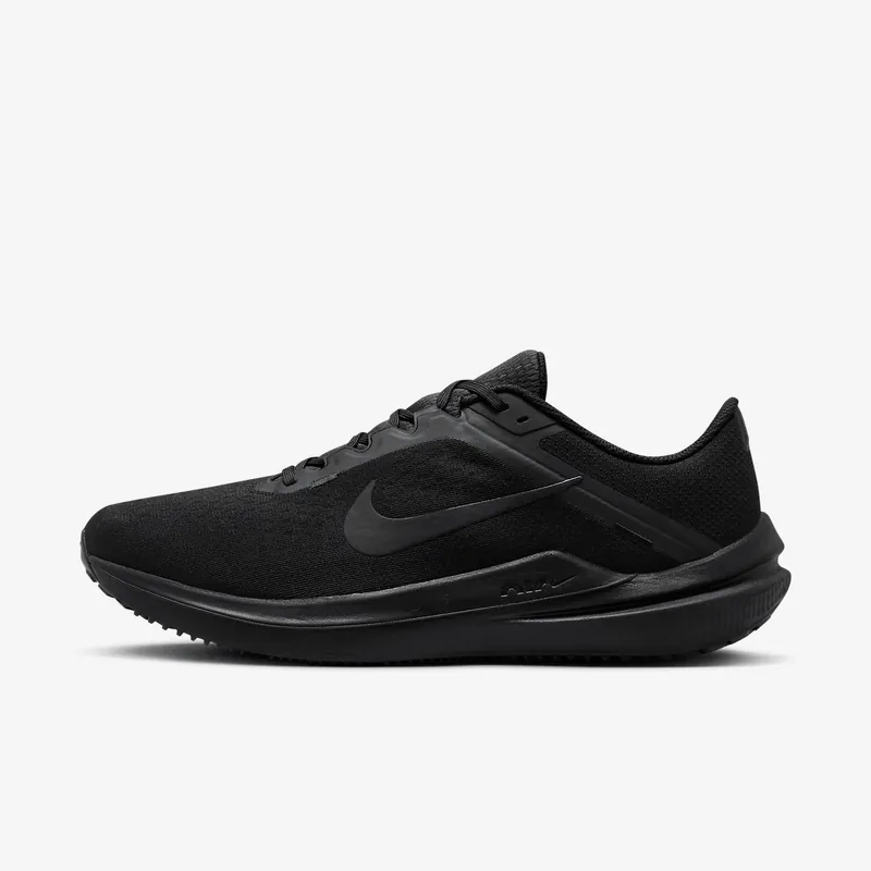 Nike Winflo 10
